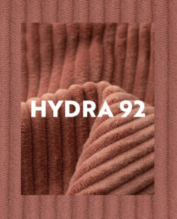 hydra92-rose